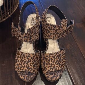 Circus by Sam Edelman Leopard Print Heels